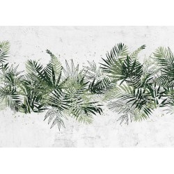 Fototapete - Jungle and green plume - large tropical leaves on a white background