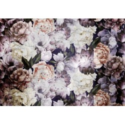 Fototapete - Plant motif with peonies in a garden - retro style flower background