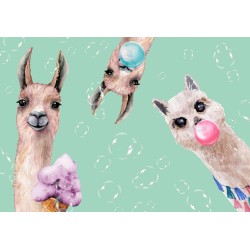 Fototapete - Crazy Llamas