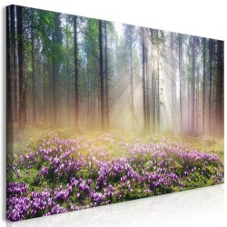 Leinwandbild - Purple Meadow (1 Part) Wide