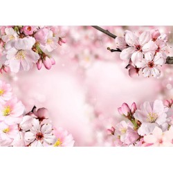Fototapete - Spring Cherry Blossom