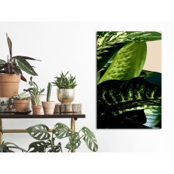 Leinwandbild - Dieffenbachia (1 Part) Vertical