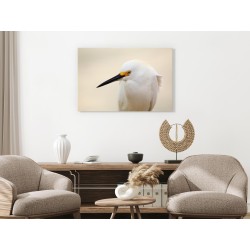 Leinwandbild - Snowy Egret (1 Part) Wide