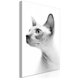 Leinwandbild - Hairless Cat (1 Part) Vertical