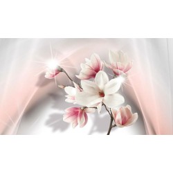 Fototapete - White Magnolias II