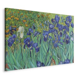 Leinwandbild - Irises - Van Gogh