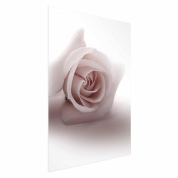 Poster - Poster - Rose Shadow