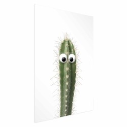 Poster - Poster - Living Cactus