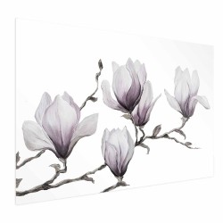 Poster - Poster - Painted Magnolias