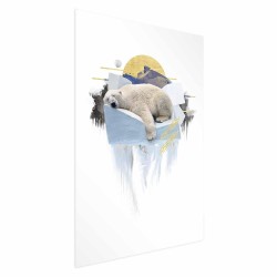 Poster - Poster - Polar Bear