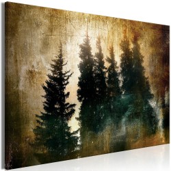 Leinwandbild - Stately Spruces (1 Part) Wide