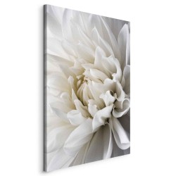 Leinwandbild - White Dahlia