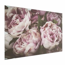 Poster - Pink Peonies