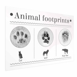 Poster - Paw Prints