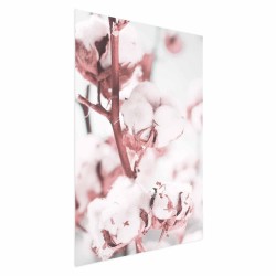 Poster - Cotton in Bloom