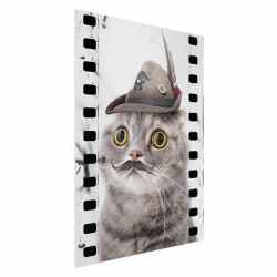 Poster - Cat in a Hat