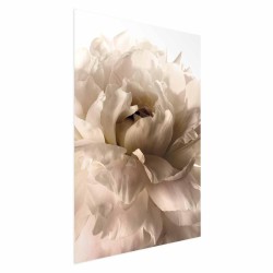 Poster - Soft Petals