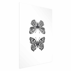 Poster - Two Butterflies