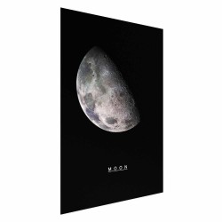 Poster - Moon