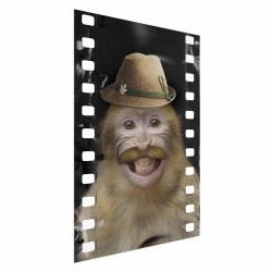 Poster - Monkey in a Hat