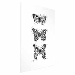 Poster - Three Butterflies