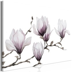 Leinwandbild - Painted Magnolias (1 Part) Wide