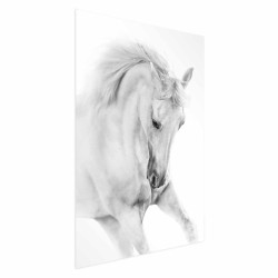 Poster - White Horse