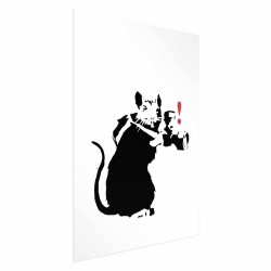 Poster - Photographer Rat