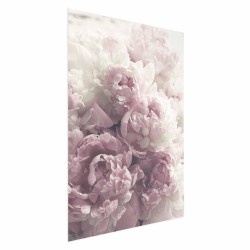 Poster - Poster - Delicate Peonies