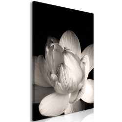 Leinwandbild - Delicacy of Petals in Nature (1-part) - Flower in Black and White