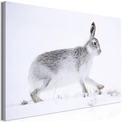 Leinwandbild - Hare (1 Part) Wide