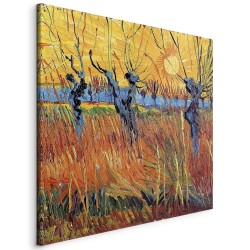 Leinwandbild - Willows at Sunset