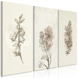 Leinwandbild - Herbarium (3 Parts)