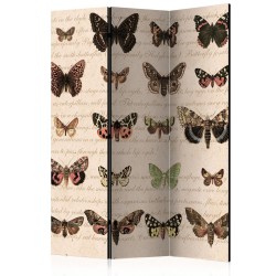 Paravent - Retro Style: Butterflies