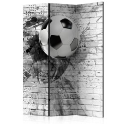 Paravent - Dynamic Football